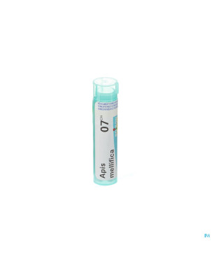 Apis mellifica    7ch gr 4g boiron