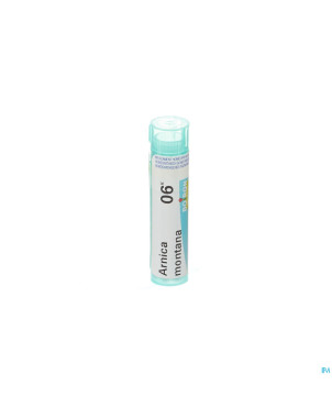 Arnica montana    6k gr 4g boiron