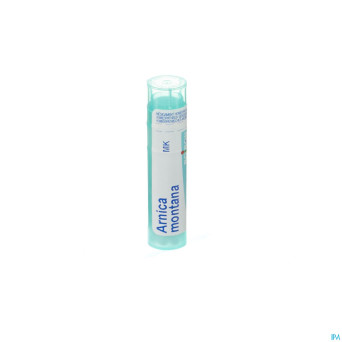 Arnica montana    mk gr 4g boiron