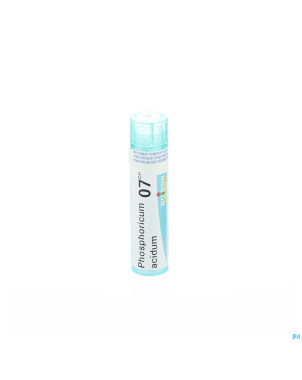 Phosphoricum acidum    7ch gr 4g boiron