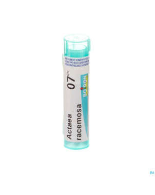 Actaea racemosa    7ch gr 4g boiron