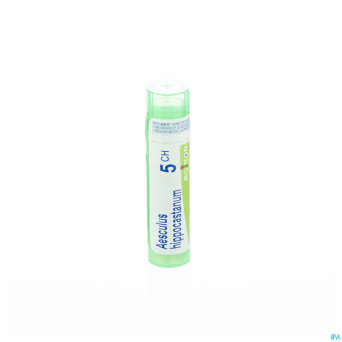 Aesculus hippocastanum    5ch gr 4g boiron