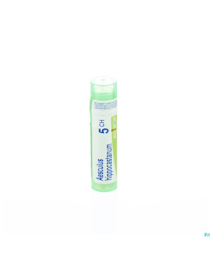 Aesculus hippocastanum    5ch gr 4g boiron