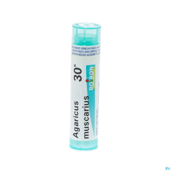 Agaricus muscarius    30k gr 4g boiron