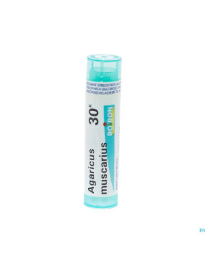 Agaricus muscarius    30k gr 4g boiron