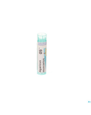 Agaricus muscarius    5ch gr 4g boiron