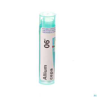 Allium cepa    6k gr 4g boiron