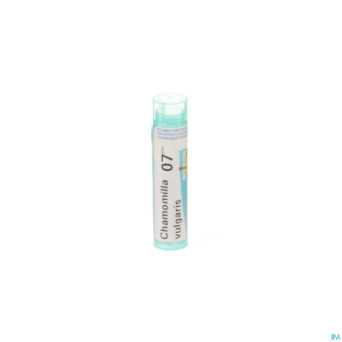 Chamomilla vulgaris    7ch gr 4g boiron