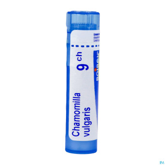 Chamomilla vulgaris    9ch gr 4g boiron