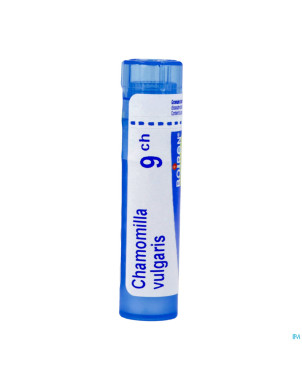 Chamomilla vulgaris    9ch gr 4g boiron