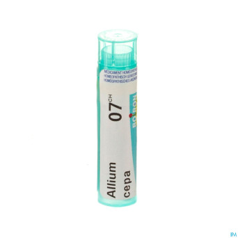 Allium cepa    7ch gr 4g boiron