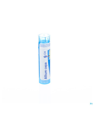 Allium cepa    9ch gr 4g boiron