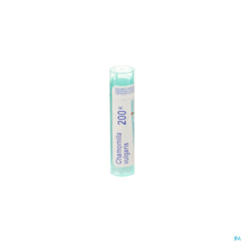 Chamomilla vulgaris    200k gr 4g boiron