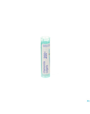 Chamomilla vulgaris    200k gr 4g boiron