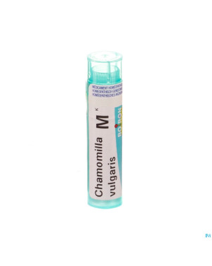 Chamomilla vulgaris    mk gr 4g boiron