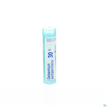 Gelsemium sempervirens    30k gr 4g boiron