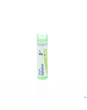 Arum triphyllum    5ch gr 4g boiron