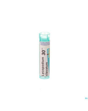 Lycopodium clavatum    30ch gr 4g boiron