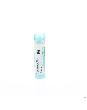 Lycopodium clavatum    mk gr 4g boiron