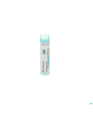 Berberis vulgaris    6k gr 4g boiron