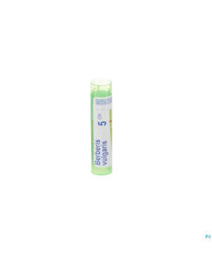 Berberis vulgaris    5ch gr 4g boiron