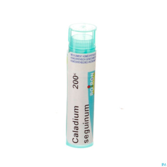 Caladium seguinum    200k gr 4g boiron