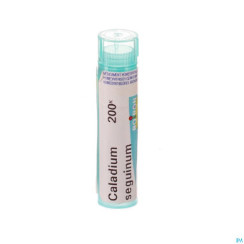 Caladium seguinum    200k gr 4g boiron