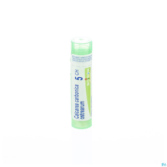 Calcarea carbonica ostrearum    5ch gr 4g boiron