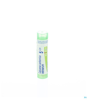 Calcarea carbonica ostrearum    5ch gr 4g boiron