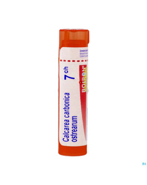 Calcarea carbonica ostrearum    7ch gr 4g boiron