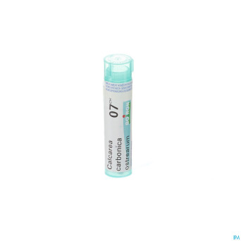Calcarea carbonica ostrearum    7ch gr 4g boiron