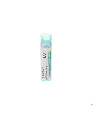 Calcarea carbonica ostrearum    7ch gr 4g boiron