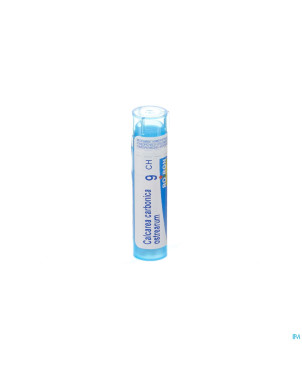 Calcarea carbonica ostrearum    9ch gr 4g boiron