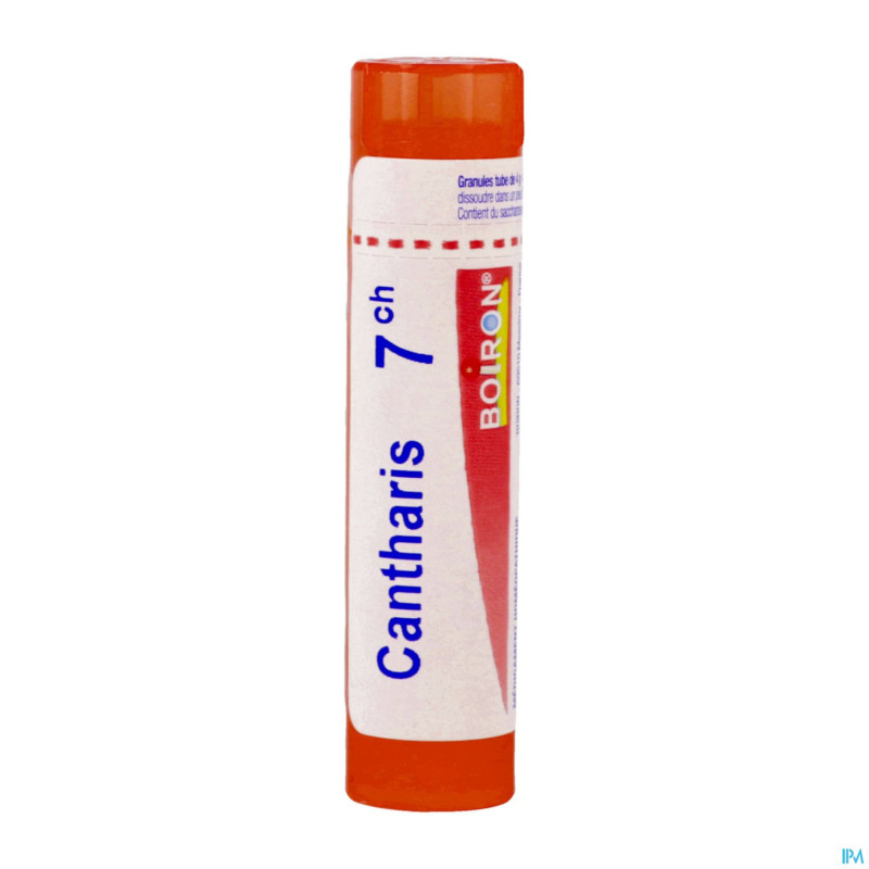 Cantharis    7ch gr 4g boiron