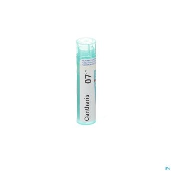 Cantharis    7ch gr 4g boiron