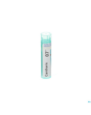 Cantharis    7ch gr 4g boiron