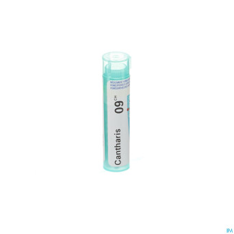 Cantharis    9ch gr 4g boiron