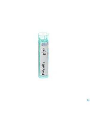 Pulsatilla    7ch gr 4g boiron