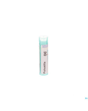 Pulsatilla    6k gr 4g boiron