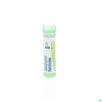 Caulophyllum thalictroides    5ch gr 4g boiron