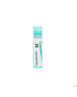 Causticum hahnemanni    mk gr 4g boiron