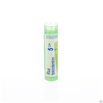 Rhus toxicodendron    5ch gr 4g boiron