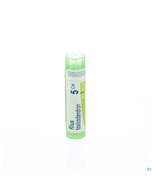 Rhus toxicodendron    5ch gr 4g boiron