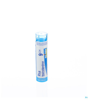 Rhus toxicodendron    9ch gr 4g boiron