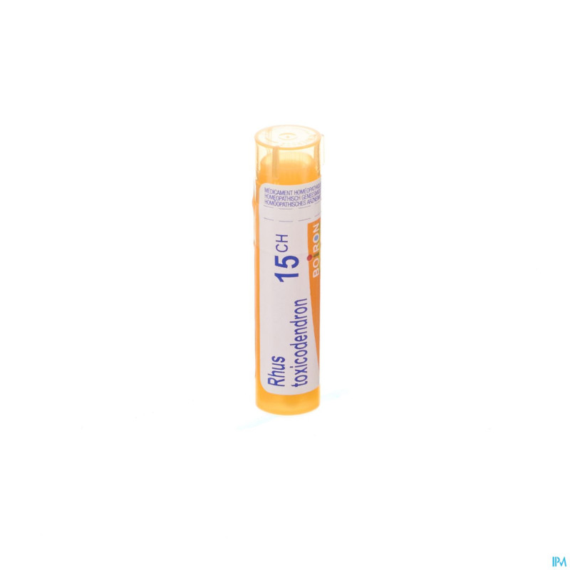 Rhus toxicodendron    15ch gr 4g boiron
