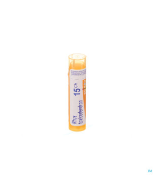 Rhus toxicodendron    15ch gr 4g boiron