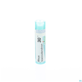 Rhus toxicodendron    30ch gr 4g boiron
