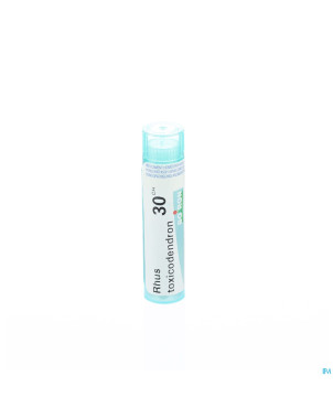 Rhus toxicodendron    30ch gr 4g boiron