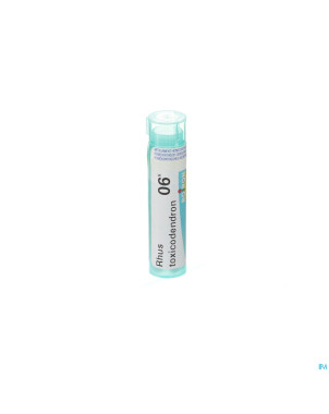 Rhus toxicodendron    6k gr 4g boiron