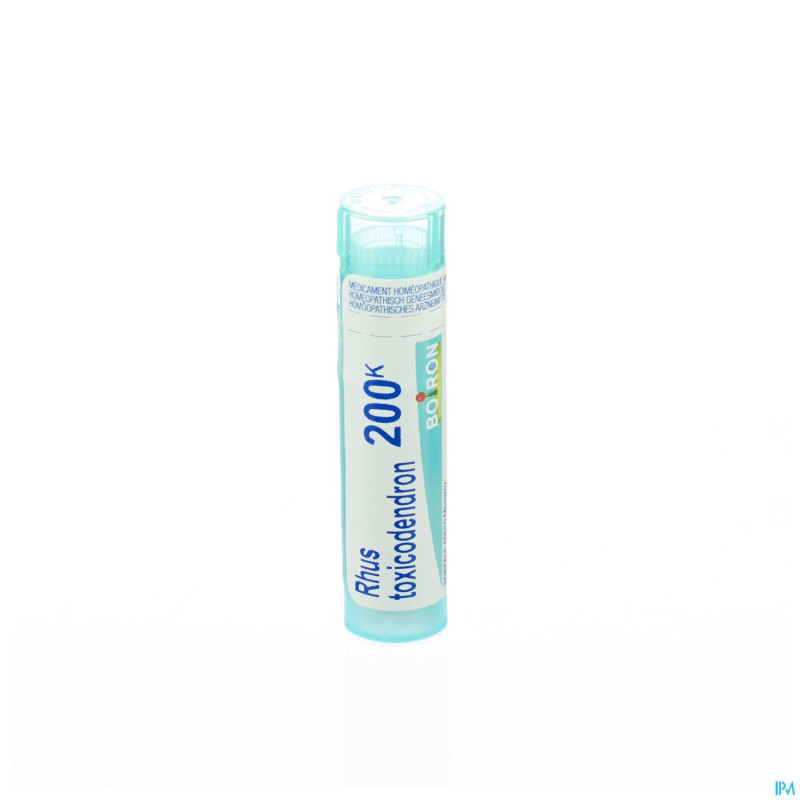 Rhus toxicodendron    200k gr 4g boiron